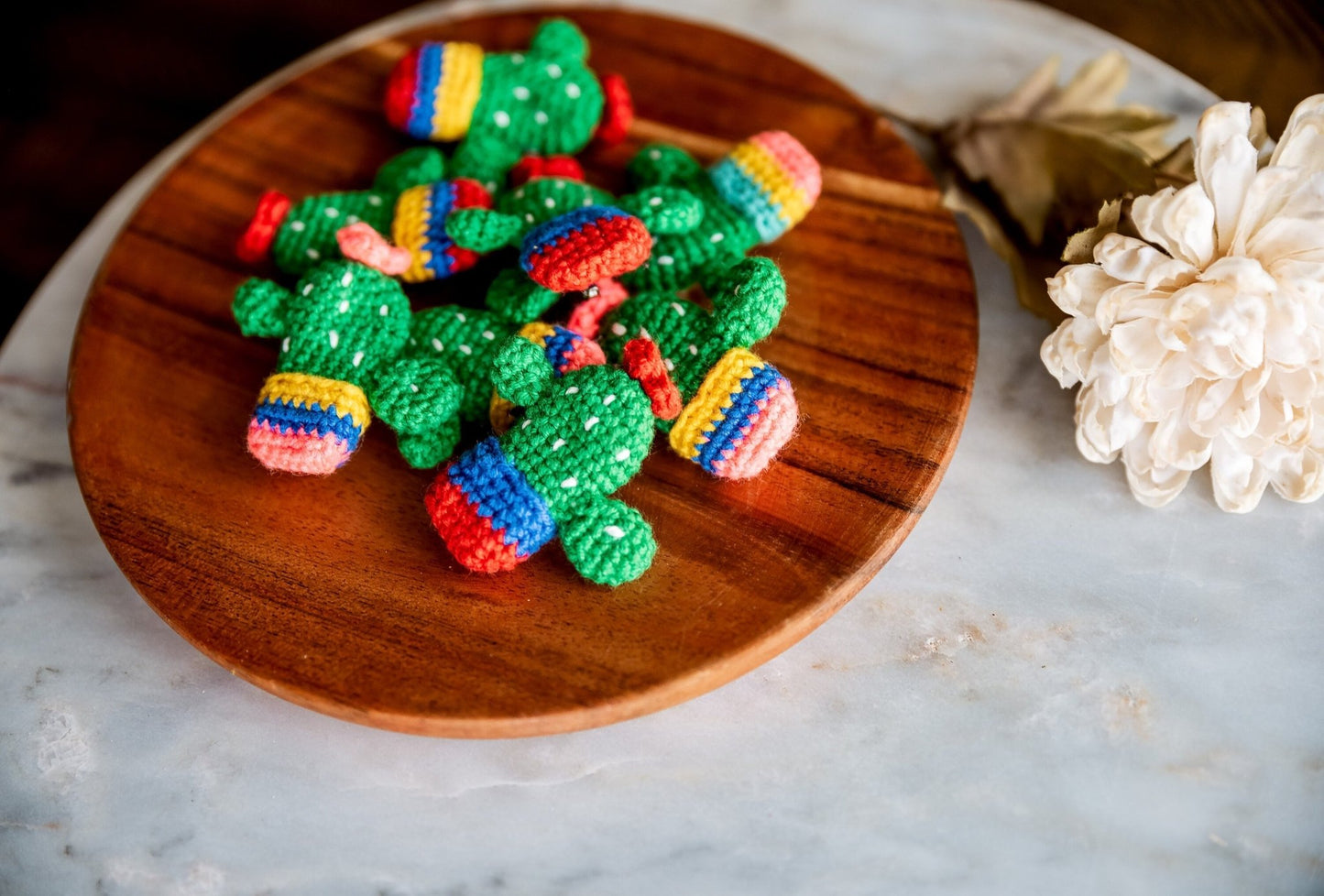 Cactus Pin - Hemsin Atelier