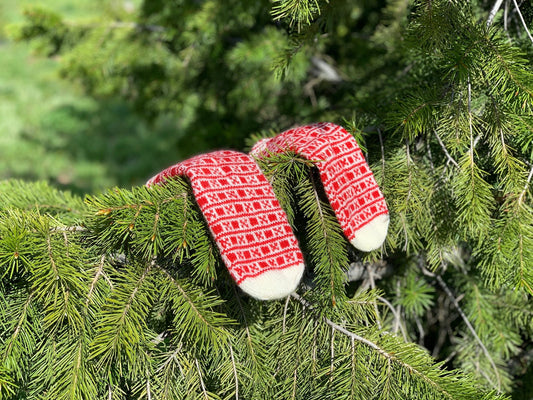 Handmade Cozy Socks - Hemsin Atelier